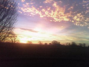2016-01-24 07.22.35.jpg