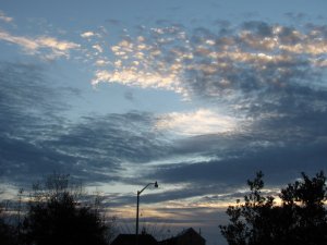 IMG_1634.JPG