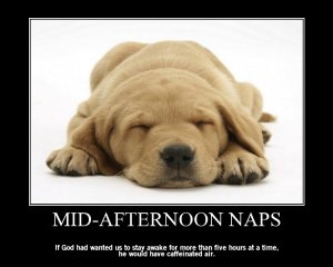 nap.jpg