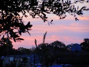 IMG_0480.JPG