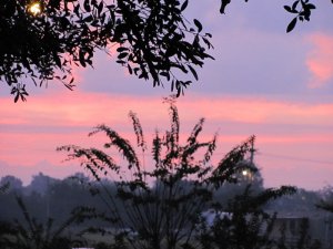 IMG_0999.JPG