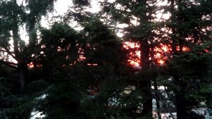 DSCF2593.JPG