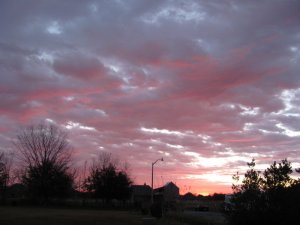 IMG_1724.JPG