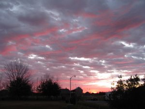 IMG_1722.JPG
