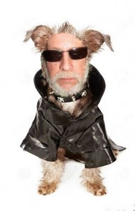 Me-with-spiked-collar.jpg