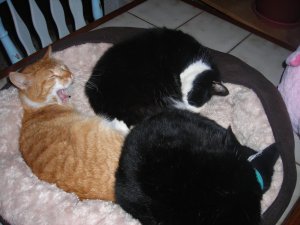 DSCN1041.jpg