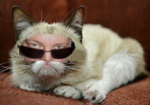 me-as-grumpy-cat.jpg