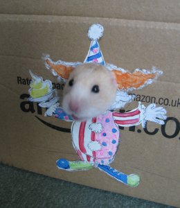 hamster.jpg