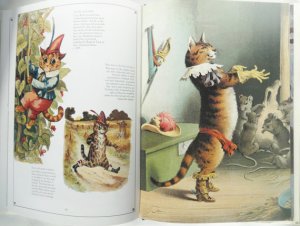 catland 1.jpg