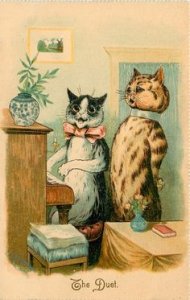 catland 2.jpg