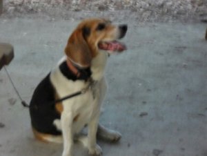 Rosa's  pics 175.jpg