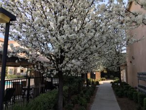 IMG_0084.jpg