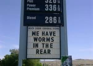 worms.jpg