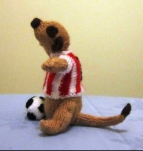 Soccer Meerkat.JPG