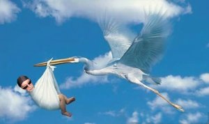 Me-with-stork.jpg