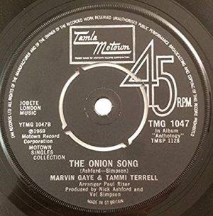 onion song.jpg