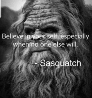 quotes.jpg