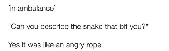 snake bit.jpg snake bit.jpg