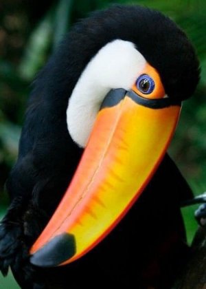 birds110721.jpg