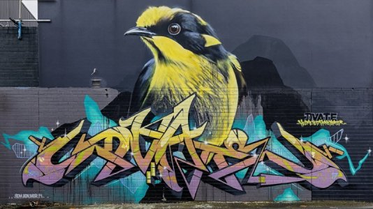 Birds_Graffiti_Wall_596020_1280x720.jpg