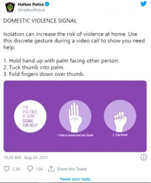 DomesticViolenceSignal-LR.jpg