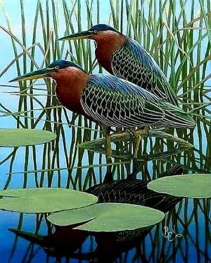 birds110921.jpg