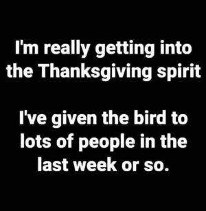 The bird.jpg