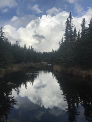 Reflection.jpg