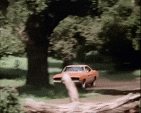 DOH-3.gif DOH-3.gif