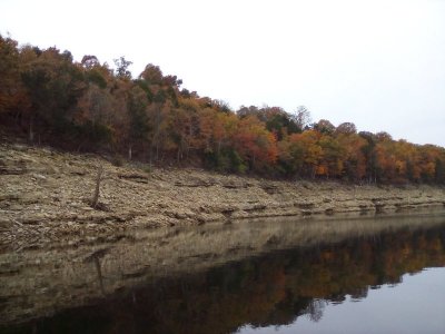 IMG_20211109_114746.jpg
