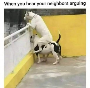 248373832_726835435385589_4913321482269279179_n[1].jpg