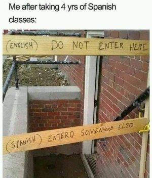 249054984_722727629129703_209536836552012891_n[1].jpg