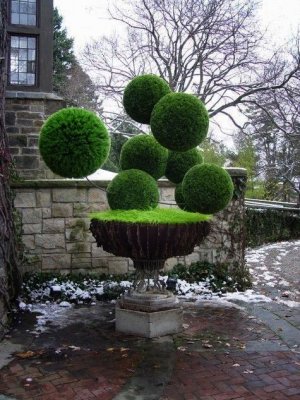 Topiary-garden-green-spheres.jpg