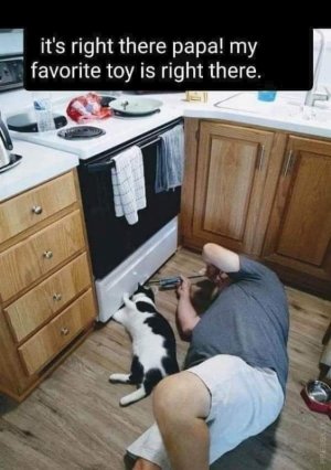 FB_IMG_1636509200453.jpg