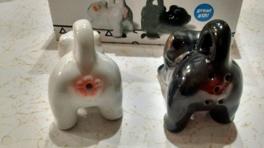 cats-ass-salt-pepper-shakers-funny_1_2005d401e6a3a115b5474cea295b3372.jpg