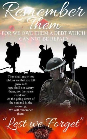 Poppy Power_ Prince Edward County Defends Veterans Rights.jpeg