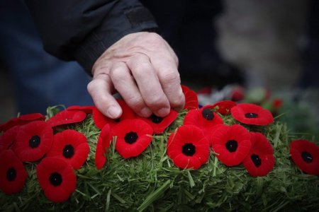 remembrance day.jpg