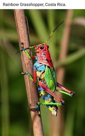 spots111121.jpg