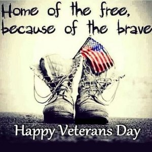 286400-Home-Of-The-Free-Because-Of-The-Brave-Happy-Veterans-Day.jpg