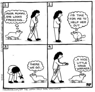 FB_IMG_1636662561327.jpg