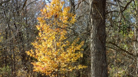 100_0077.JPG