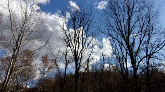 100_0081.JPG