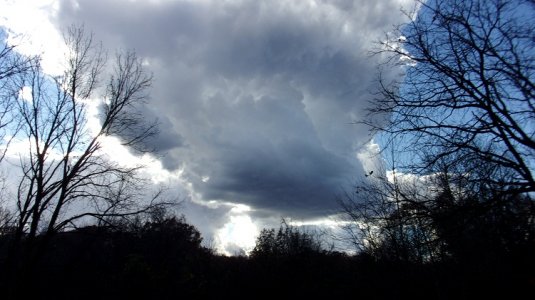 100_0086.JPG