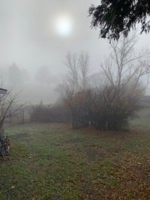 fog.jpg