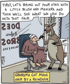 Grandma Reindeer.jpg