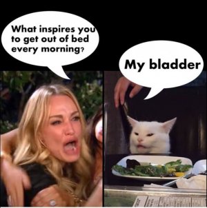 my bladder.jpg