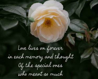 sympathy-poem--master_380x304.jpg