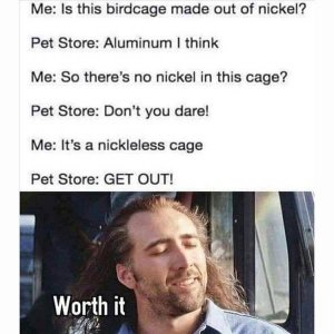 1635191552_x2conr6n2z.jpg