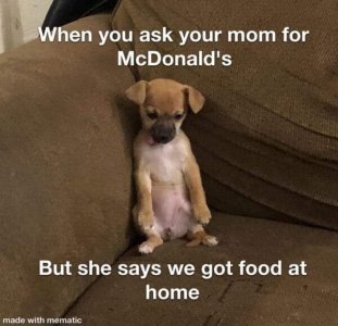 FB_IMG_1636778247920.jpg