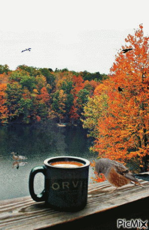 6943704_ceab4.gif